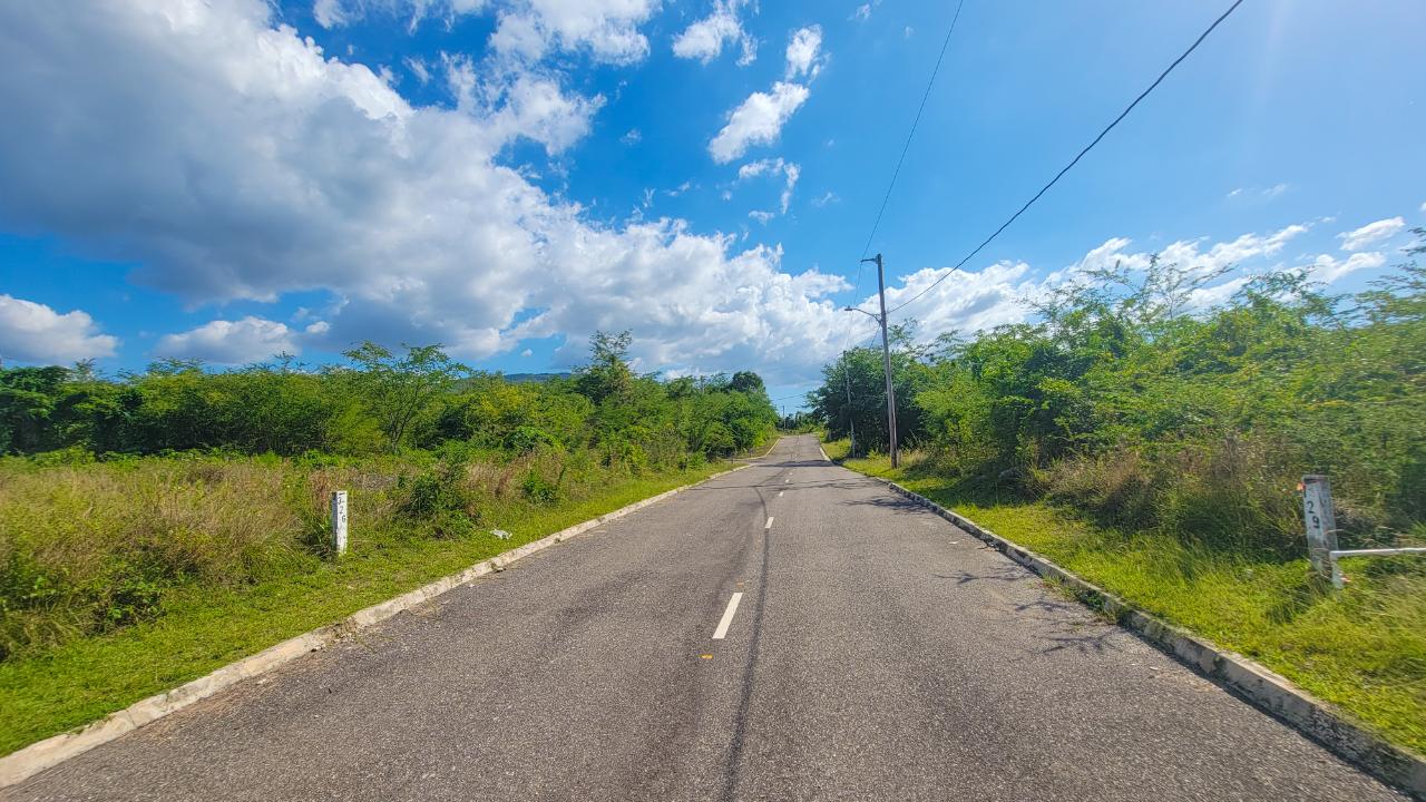 Eleventh image of Lot 129 Palm Brook Estate in Lacovia, St. Elizabeth, Jamaica - property is For Sale