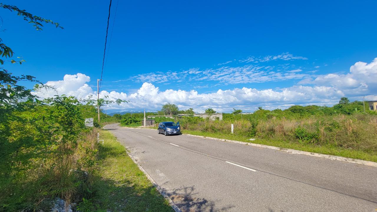 Twelfth image of Lot 129 Palm Brook Estate in Lacovia, St. Elizabeth, Jamaica - property is For Sale