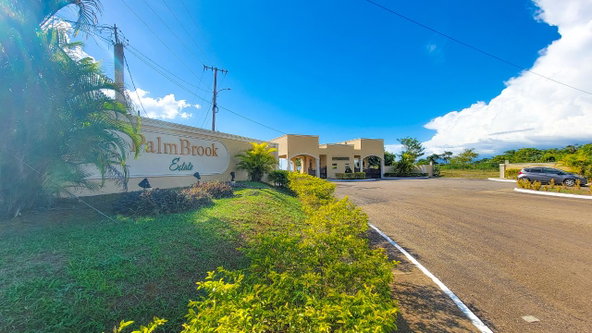 Fourteenth image of Lot 129 Palm Brook Estate in Lacovia, St. Elizabeth, Jamaica - property is For Sale