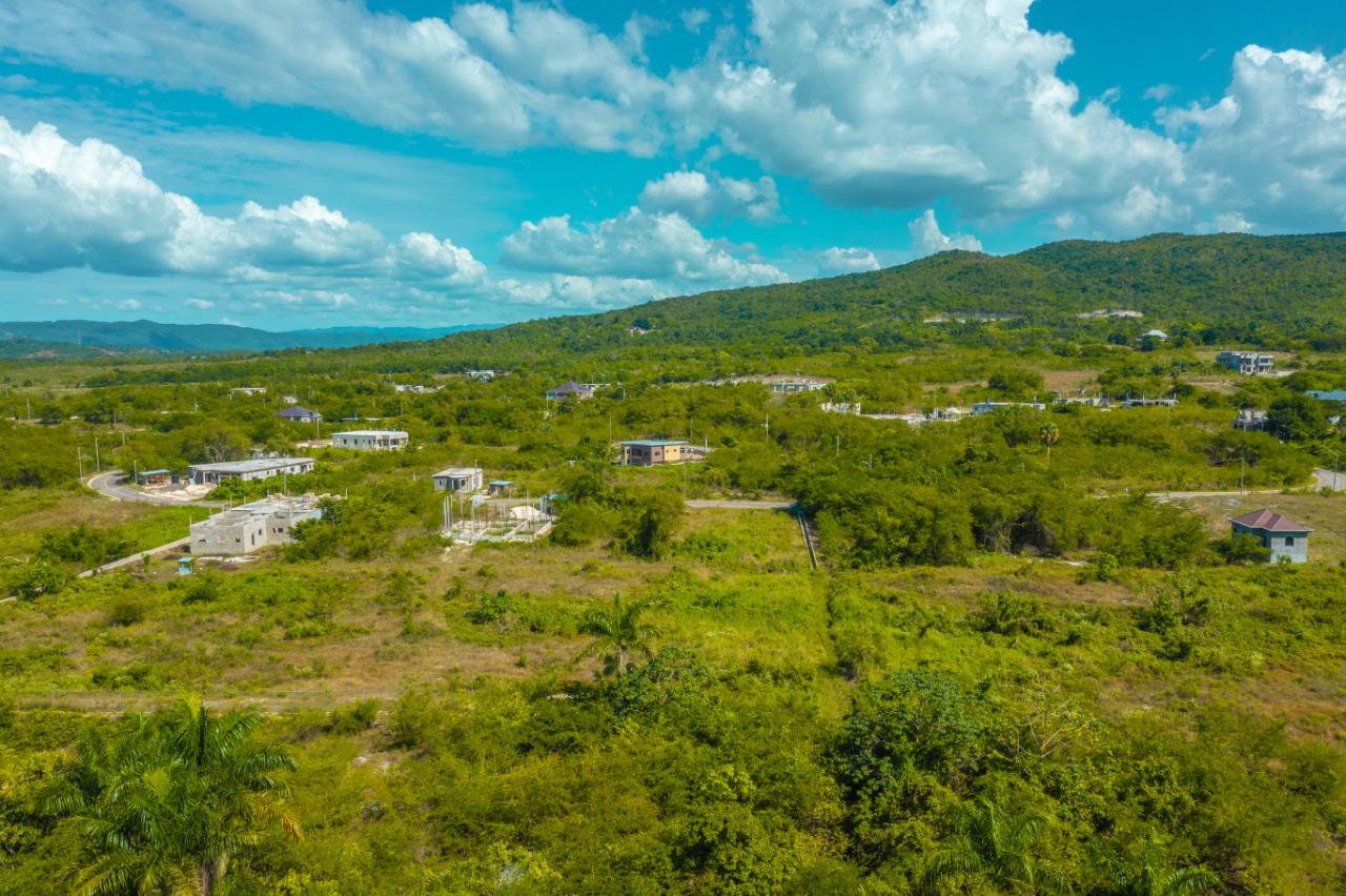 Fifteenth image of Lot 129 Palm Brook Estate in Lacovia, St. Elizabeth, Jamaica - property is For Sale