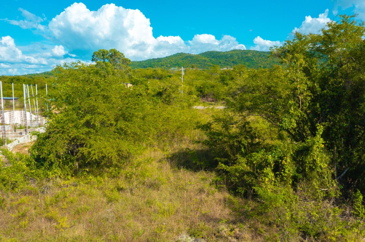 Nineteenth image of Lot 129 Palm Brook Estate in Lacovia, St. Elizabeth, Jamaica - property is For Sale
