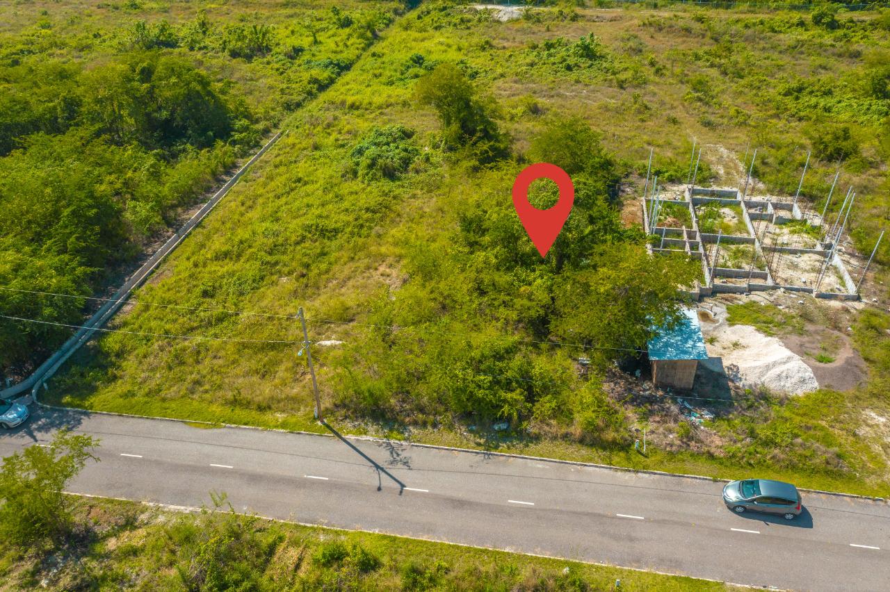 Fourth image of Lot 129 Palm Brook Estate in Lacovia, St. Elizabeth, Jamaica - property is For Sale