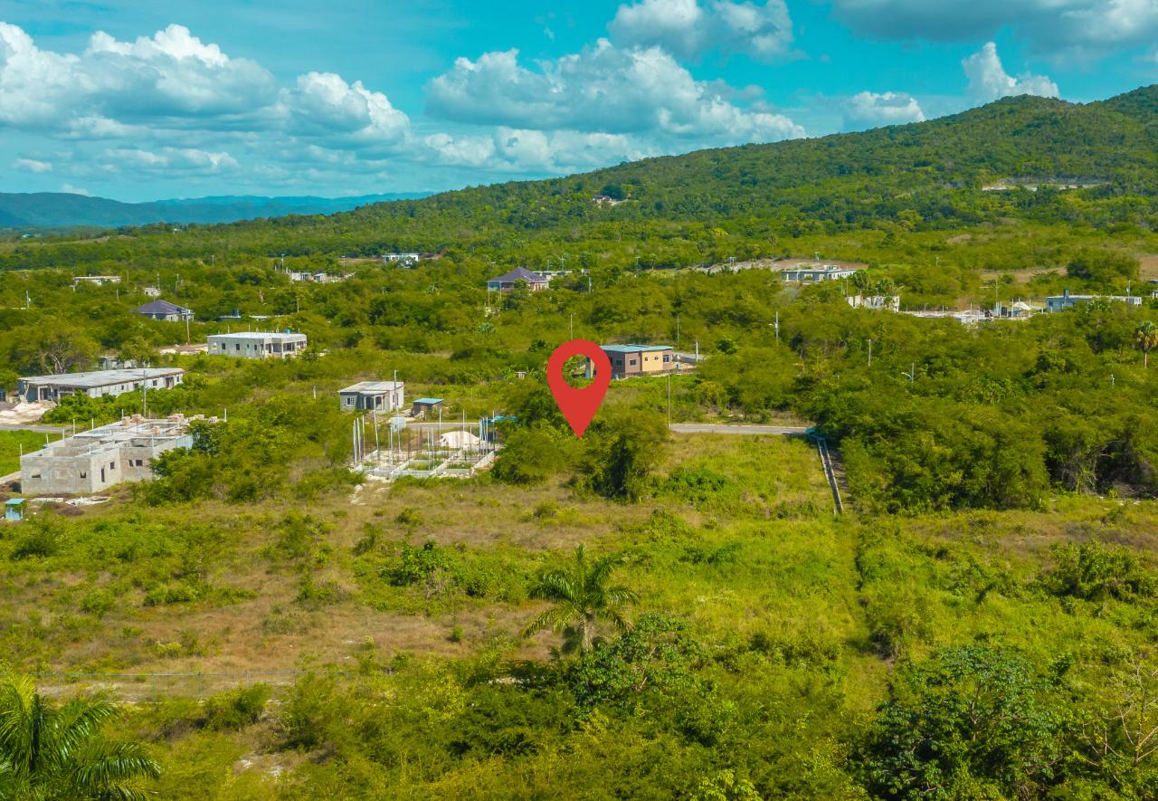 Seventh image of Lot 129 Palm Brook Estate in Lacovia, St. Elizabeth, Jamaica - property is For Sale