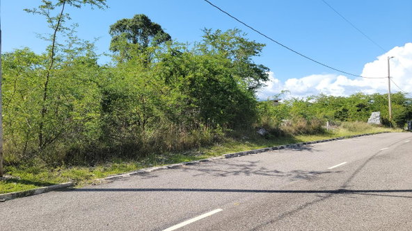 Eighth image of Lot 129 Palm Brook Estate in Lacovia, St. Elizabeth, Jamaica - property is For Sale