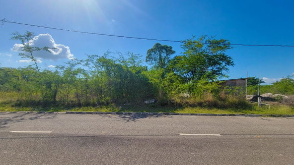 Ninth image of Lot 129 Palm Brook Estate in Lacovia, St. Elizabeth, Jamaica - property is For Sale