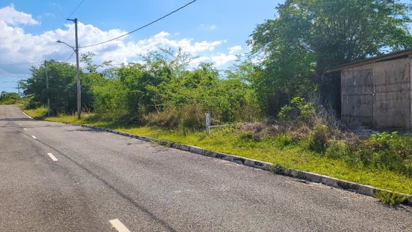 Tenth image of Lot 129 Palm Brook Estate in Lacovia, St. Elizabeth, Jamaica - property is For Sale