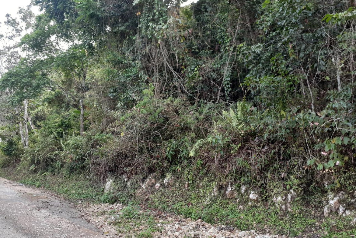 Second image of Sligoville in Sligoville, St. Catherine, Jamaica - property is For Sale