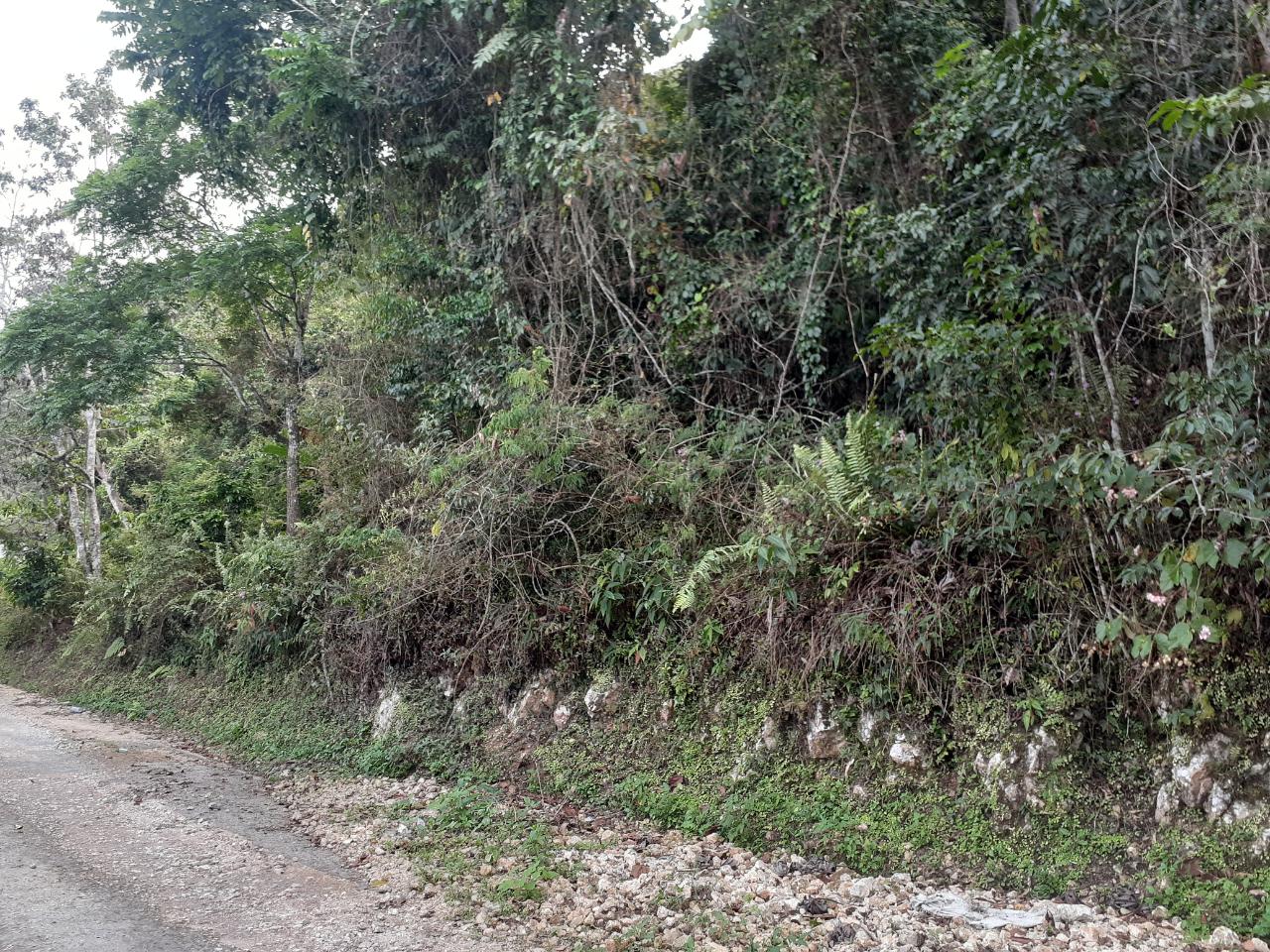 Prime-14-Acre-Residential-Lot-for-Sale-in-Sligoville-St.-Catherine Second image of Sligoville in Sligoville, St. Catherine, Jamaica - property is For Sale