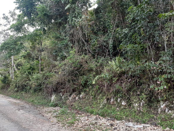 Second image of Sligoville in Sligoville, St. Catherine, Jamaica - property is For Sale