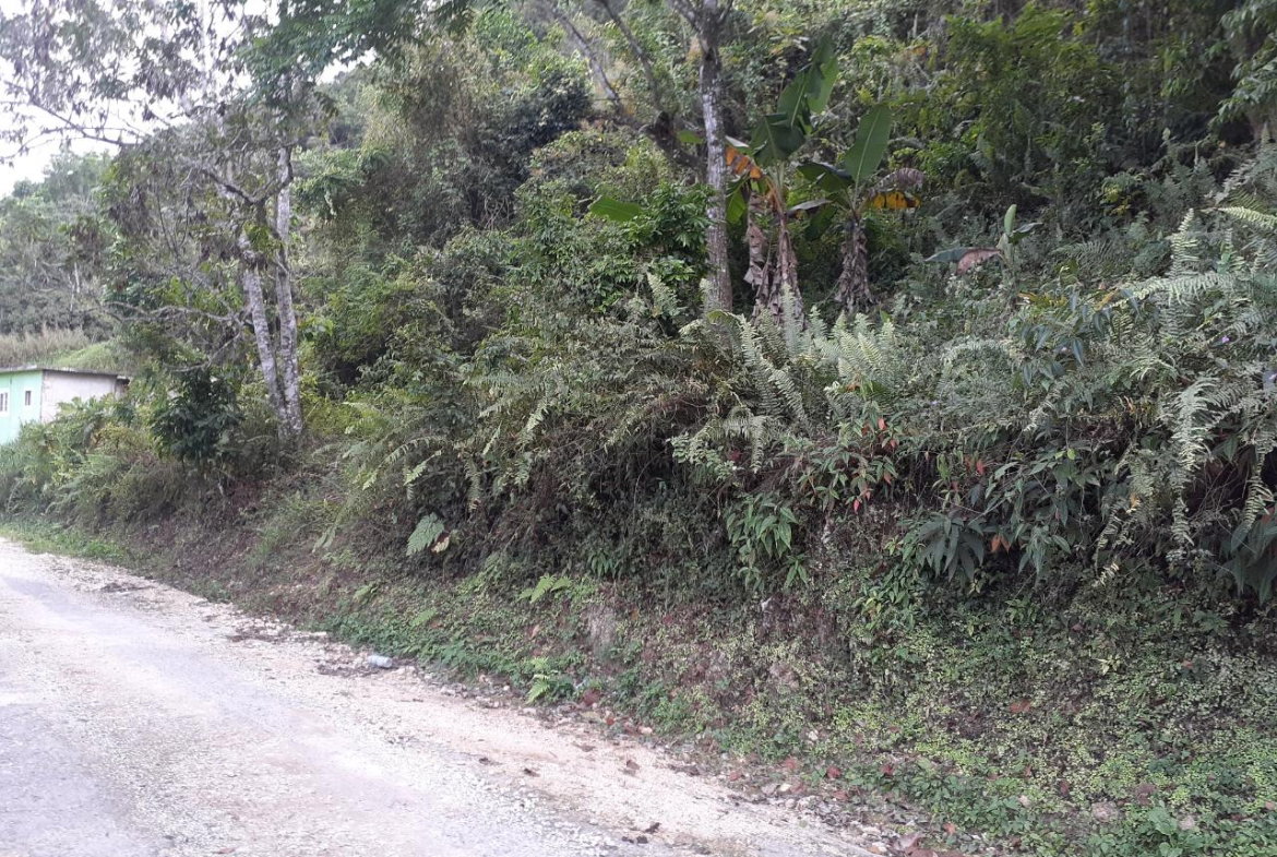 First image of Sligoville in Sligoville, St. Catherine, Jamaica - property is For Sale