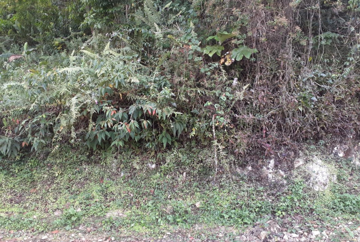 Third image of Sligoville in Sligoville, St. Catherine, Jamaica - property is For Sale