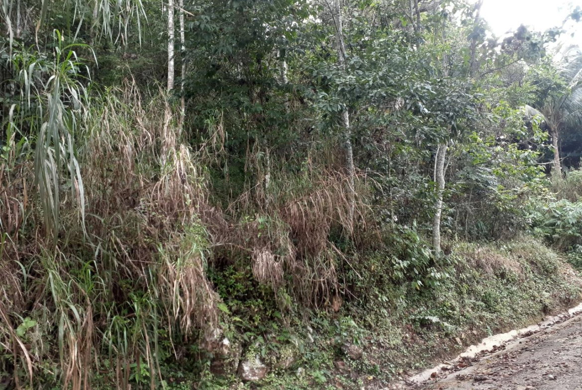 Fourth image of Sligoville in Sligoville, St. Catherine, Jamaica - property is For Sale