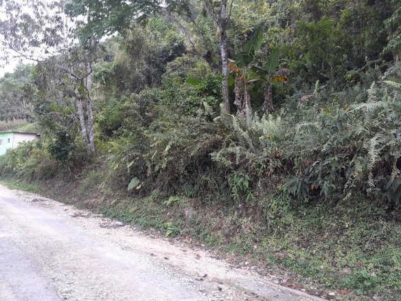 First image of Sligoville in Sligoville, St. Catherine, Jamaica - property is For Sale