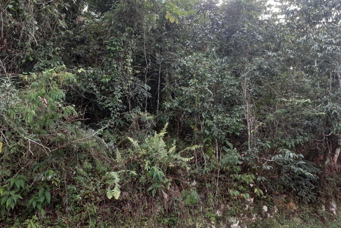 Seventh image of Sligoville in Sligoville, St. Catherine, Jamaica - property is For Sale
