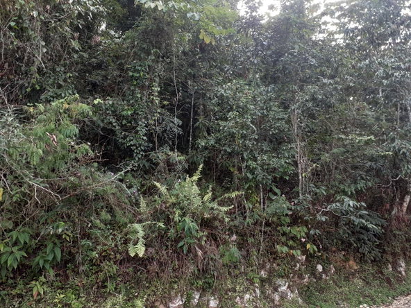 Seventh image of Sligoville in Sligoville, St. Catherine, Jamaica - property is For Sale
