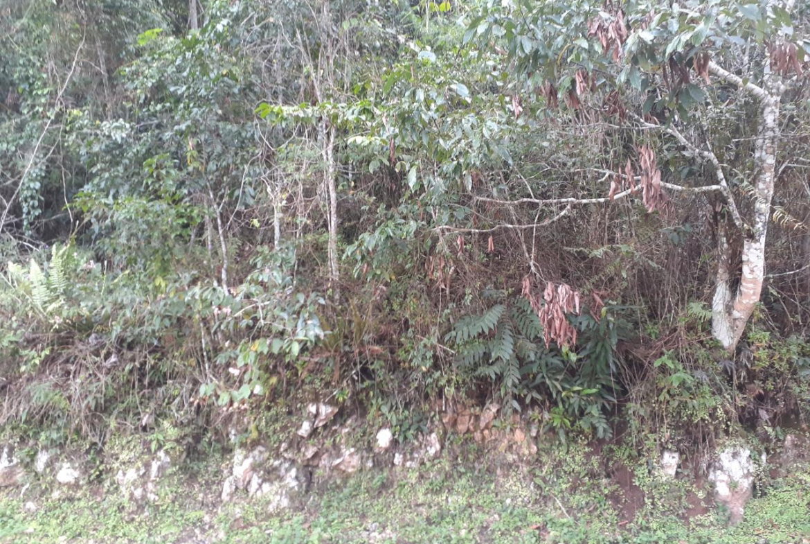 Eighth image of Sligoville in Sligoville, St. Catherine, Jamaica - property is For Sale