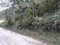 First image of Sligoville in Sligoville, St. Catherine, Jamaica - property is For Sale