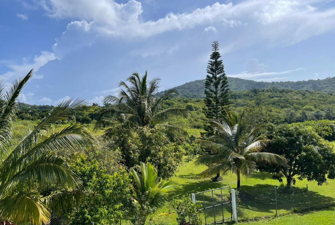 Second image of 1-friendship Islington Po, St. Mary in Friendship, St. Mary, Jamaica - property is For Sale