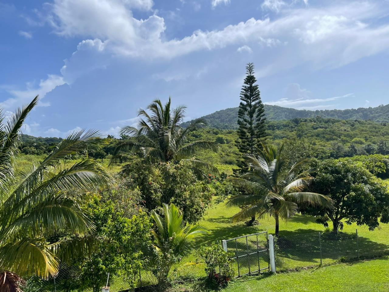 Prime-15-Acre-Residential-Lot-for-Sale-in-St.-Mary-Jamaica Second image of 1-friendship Islington Po, St. Mary in Friendship, St. Mary, Jamaica - property is For Sale