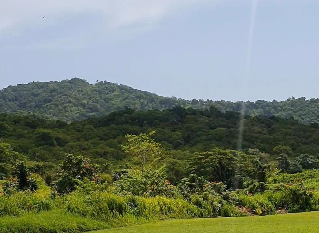 First image of 1-friendship Islington Po, St. Mary in Friendship, St. Mary, Jamaica - property is For Sale