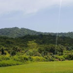 First image of 1-friendship Islington Po, St. Mary in Friendship, St. Mary, Jamaica - property is For Sale