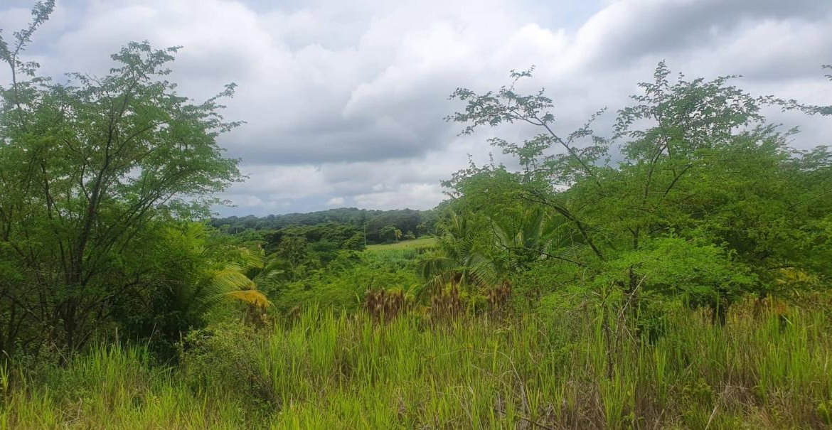 Third image of 1-friendship Islington Po, St. Mary in Friendship, St. Mary, Jamaica - property is For Sale