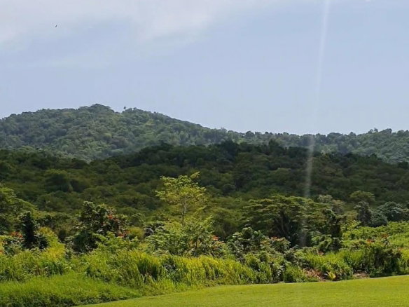 First image of 1-friendship Islington Po, St. Mary in Friendship, St. Mary, Jamaica - property is For Sale