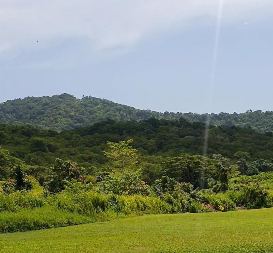 Prime-15-Acre-Residential-Lot-for-Sale-in-St.-Mary-Jamaica First image of 1-friendship Islington Po, St. Mary in Friendship, St. Mary, Jamaica - property is For Sale