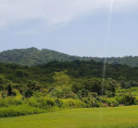 First image of 1-friendship Islington Po, St. Mary in Friendship, St. Mary, Jamaica - property is For Sale