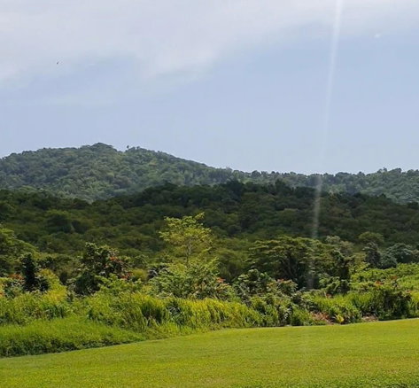 First image of 1-friendship Islington Po, St. Mary in Friendship, St. Mary, Jamaica - property is For Sale