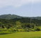 First image of 1-friendship Islington Po, St. Mary in Friendship, St. Mary, Jamaica - property is For Sale