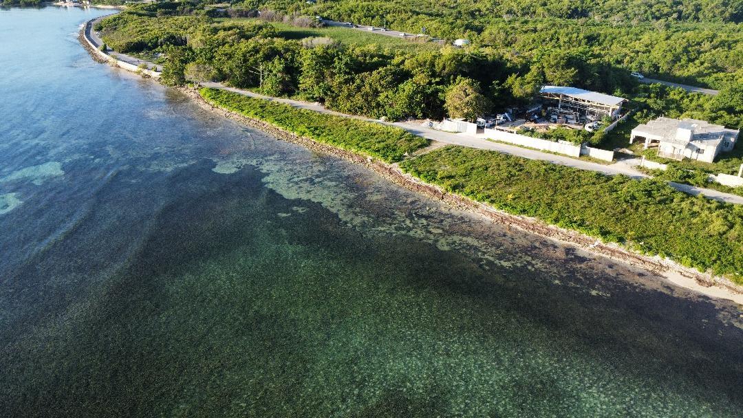 Fourth image of 52 Flamingo Beach in Falmouth, Trelawny, Jamaica - property is For Sale