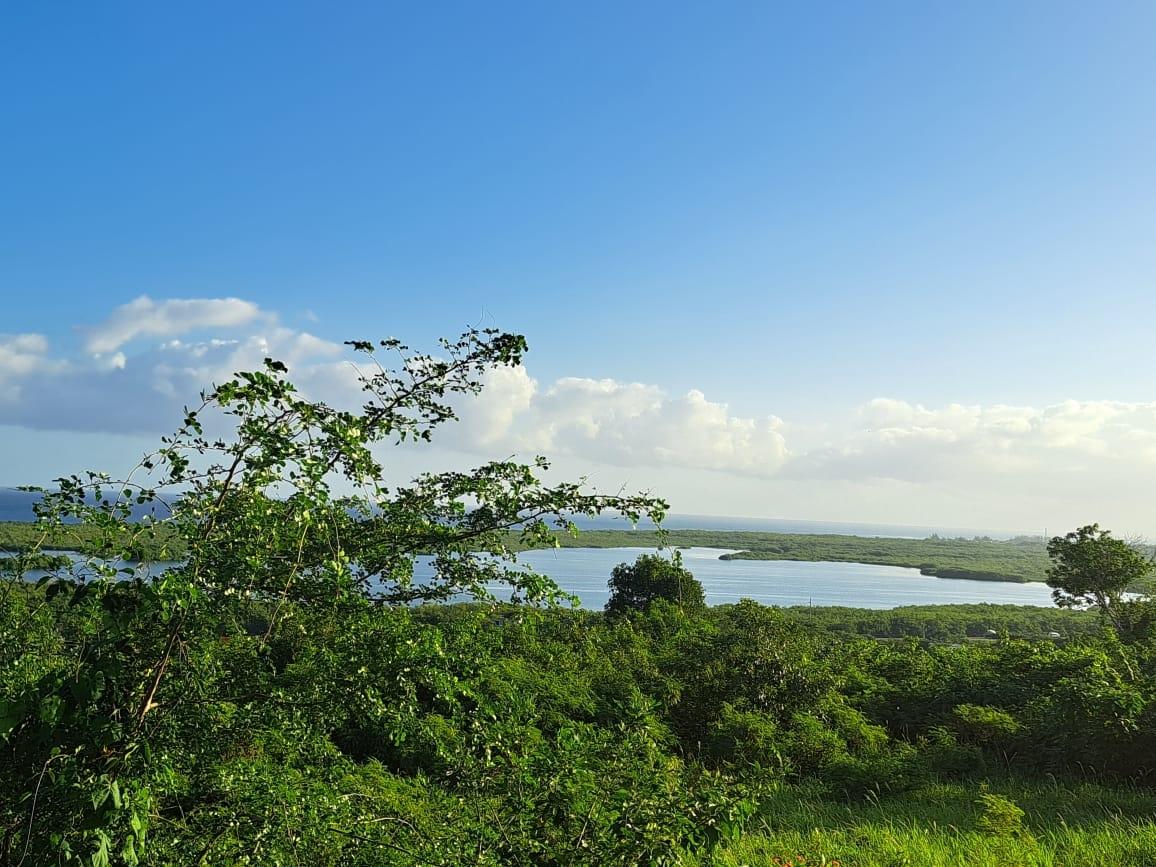 Prime-18-Acre-Development-Land-with-Sea-View-in-Trelawny-Jamaica Second image of Lakeside Close, Greenside in Falmouth, Trelawny, Jamaica - property is For Sale