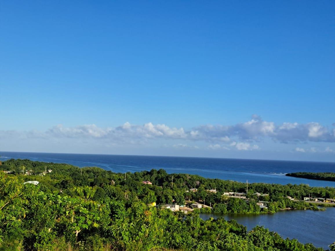 Prime-18-Acre-Development-Land-with-Sea-View-in-Trelawny-Jamaica Fourteenth image of Lakeside Close, Greenside in Falmouth, Trelawny, Jamaica - property is For Sale