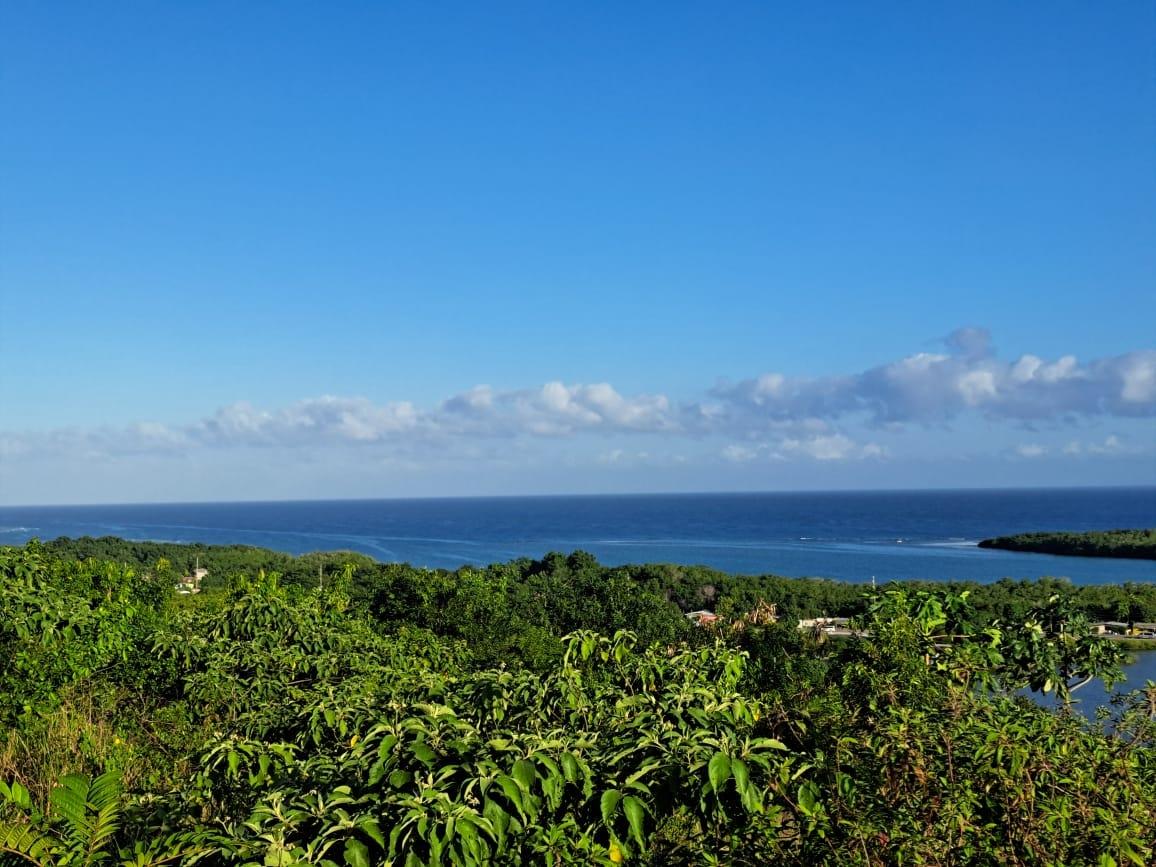 Prime-18-Acre-Development-Land-with-Sea-View-in-Trelawny-Jamaica Fifteenth image of Lakeside Close, Greenside in Falmouth, Trelawny, Jamaica - property is For Sale