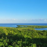 First image of Lakeside Close, Greenside in Falmouth, Trelawny, Jamaica - property is For Sale