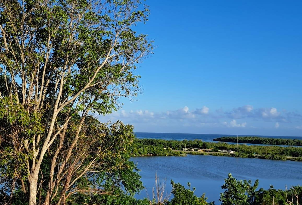 Eighth image of Lakeside Close, Greenside in Falmouth, Trelawny, Jamaica - property is For Sale