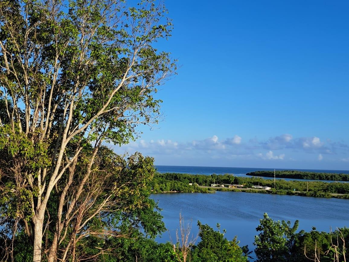 Prime-18-Acre-Development-Land-with-Sea-View-in-Trelawny-Jamaica Eighth image of Lakeside Close, Greenside in Falmouth, Trelawny, Jamaica - property is For Sale