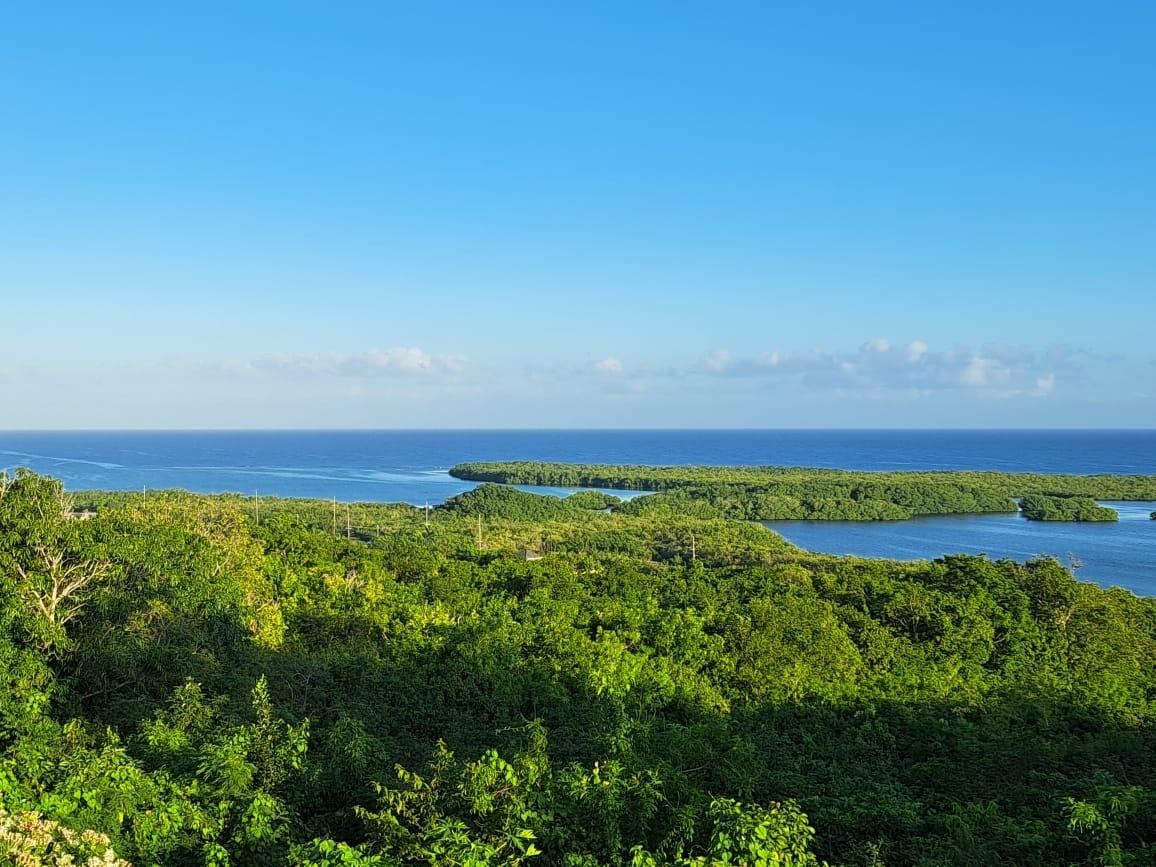 Prime-18-Acre-Development-Land-with-Sea-View-in-Trelawny-Jamaica First image of Lakeside Close, Greenside in Falmouth, Trelawny, Jamaica - property is For Sale