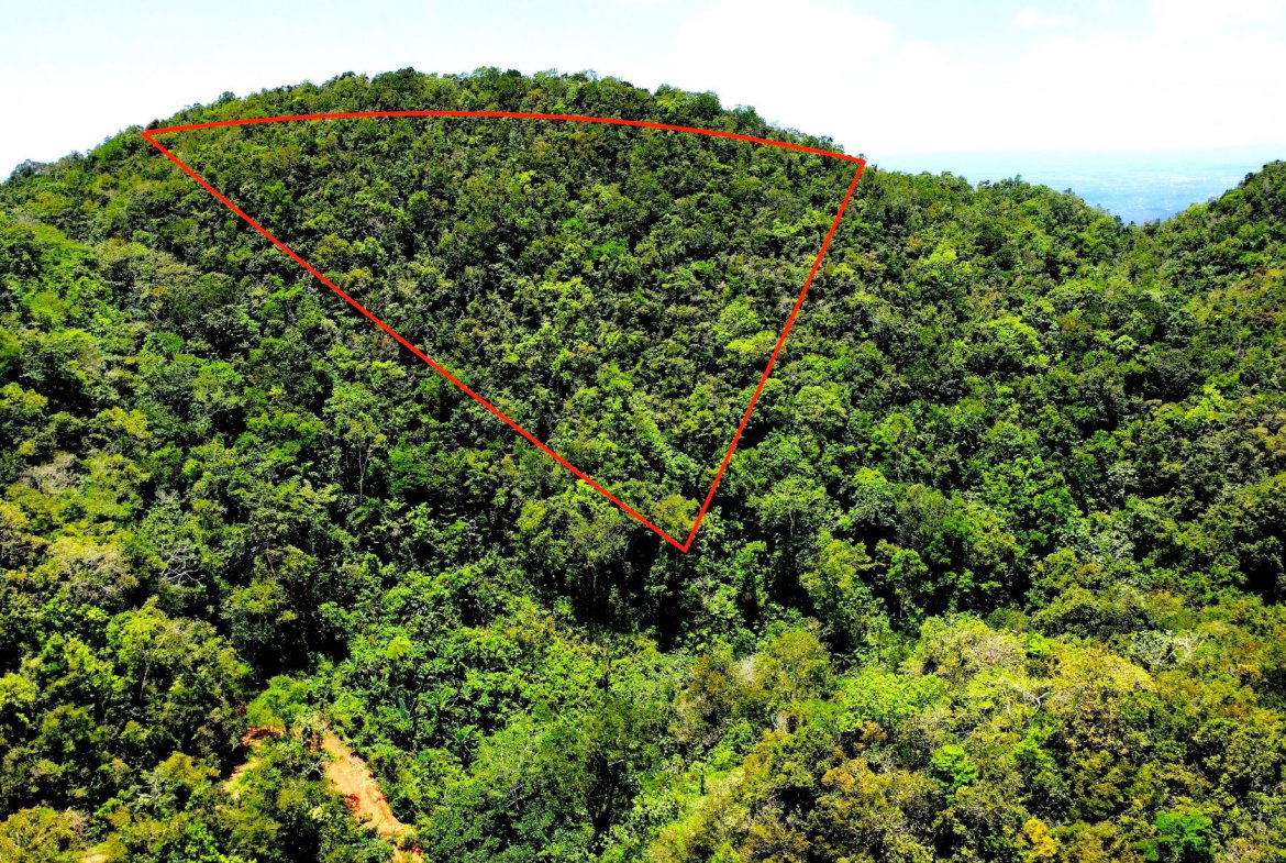 First image of Rock Hall in Rock Hall, St. Andrew, Jamaica - property is For Sale