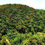 First image of Rock Hall in Rock Hall, St. Andrew, Jamaica - property is For Sale