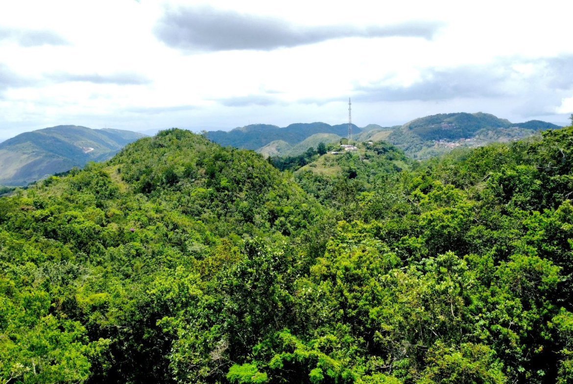 Third image of Rock Hall in Rock Hall, St. Andrew, Jamaica - property is For Sale