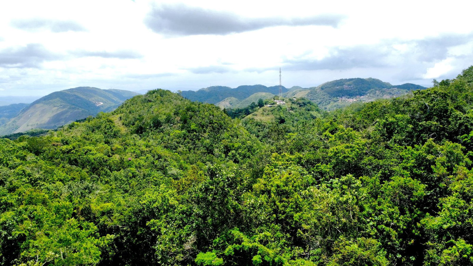 Third image of Rock Hall in Rock Hall, St. Andrew, Jamaica - property is For Sale