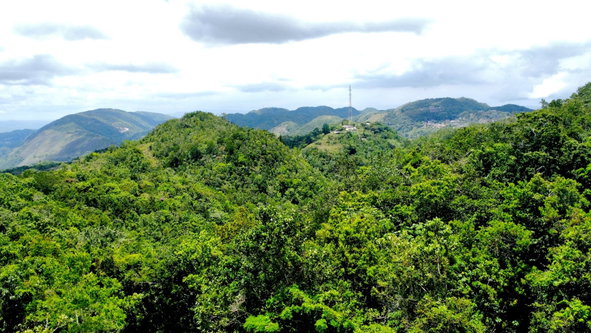Third image of Rock Hall in Rock Hall, St. Andrew, Jamaica - property is For Sale