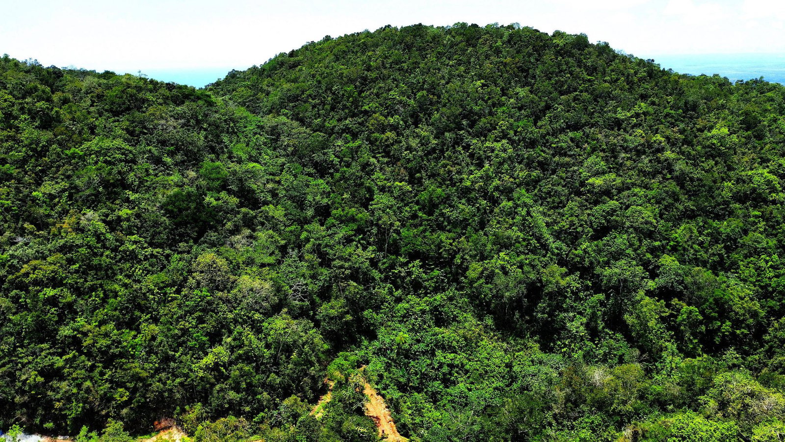 Fourth image of Rock Hall in Rock Hall, St. Andrew, Jamaica - property is For Sale