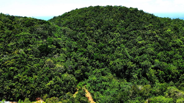 Fourth image of Rock Hall in Rock Hall, St. Andrew, Jamaica - property is For Sale