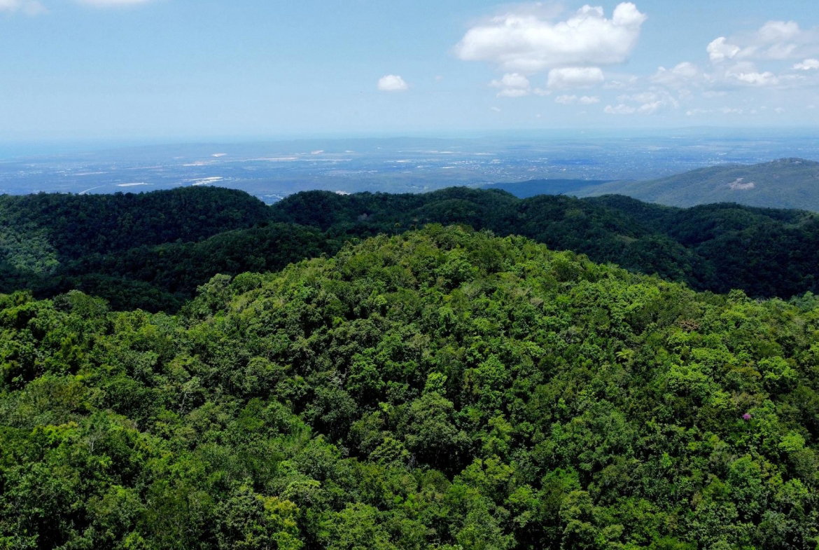 Sixth image of Rock Hall in Rock Hall, St. Andrew, Jamaica - property is For Sale