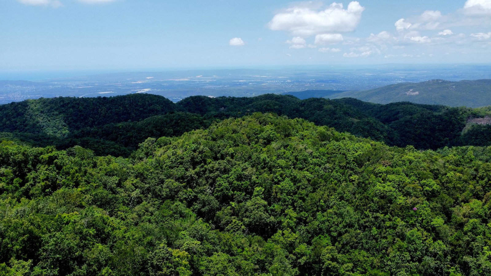 Sixth image of Rock Hall in Rock Hall, St. Andrew, Jamaica - property is For Sale