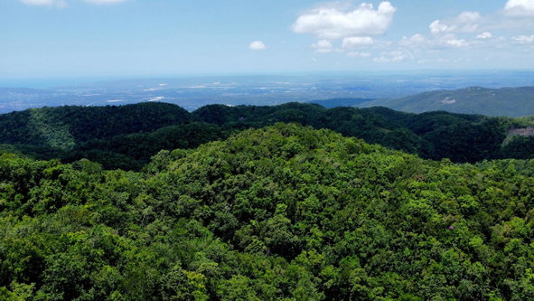 Sixth image of Rock Hall in Rock Hall, St. Andrew, Jamaica - property is For Sale