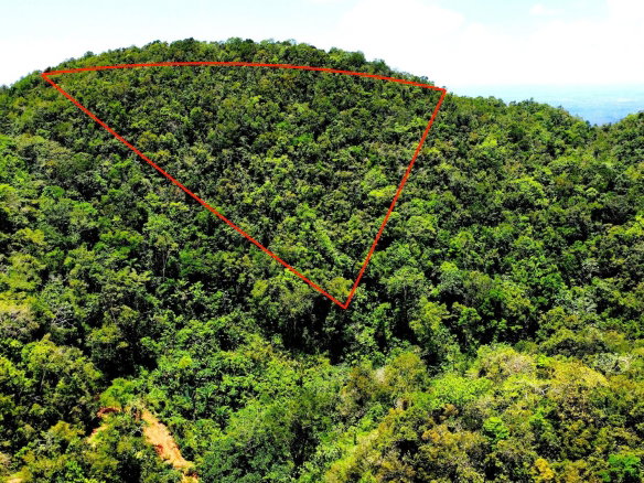 First image of Rock Hall in Rock Hall, St. Andrew, Jamaica - property is For Sale